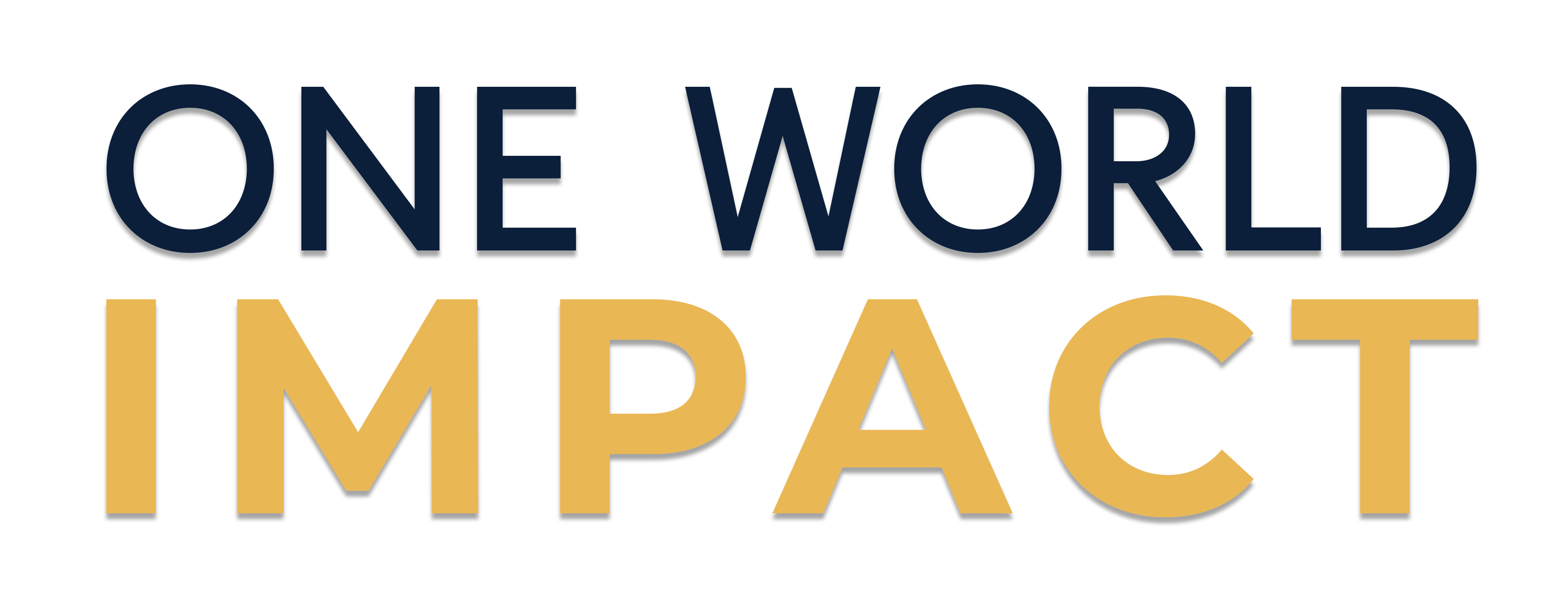 One World Impact