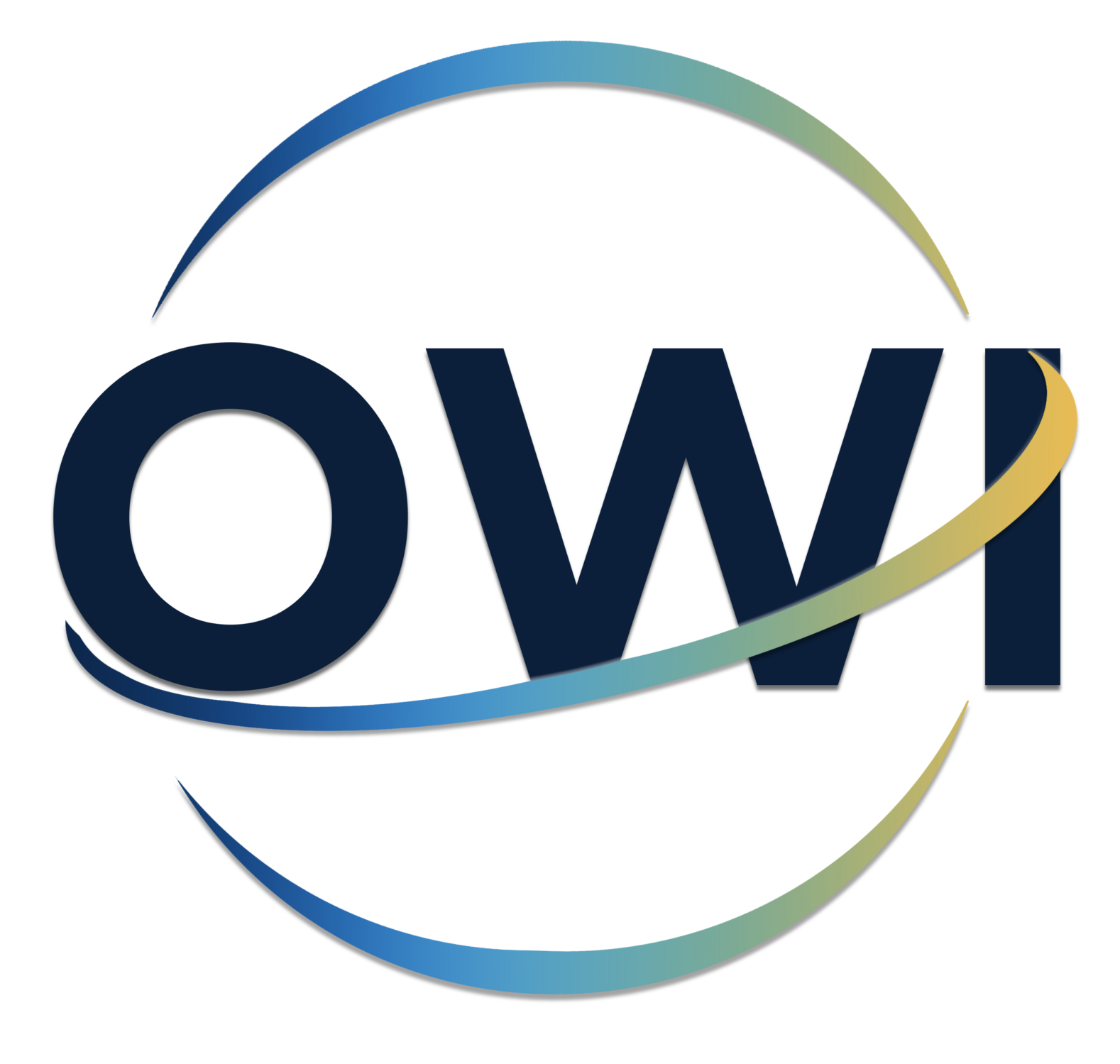 One World Impact